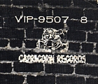 VIP-9507〜8表ジャケ.jpg
